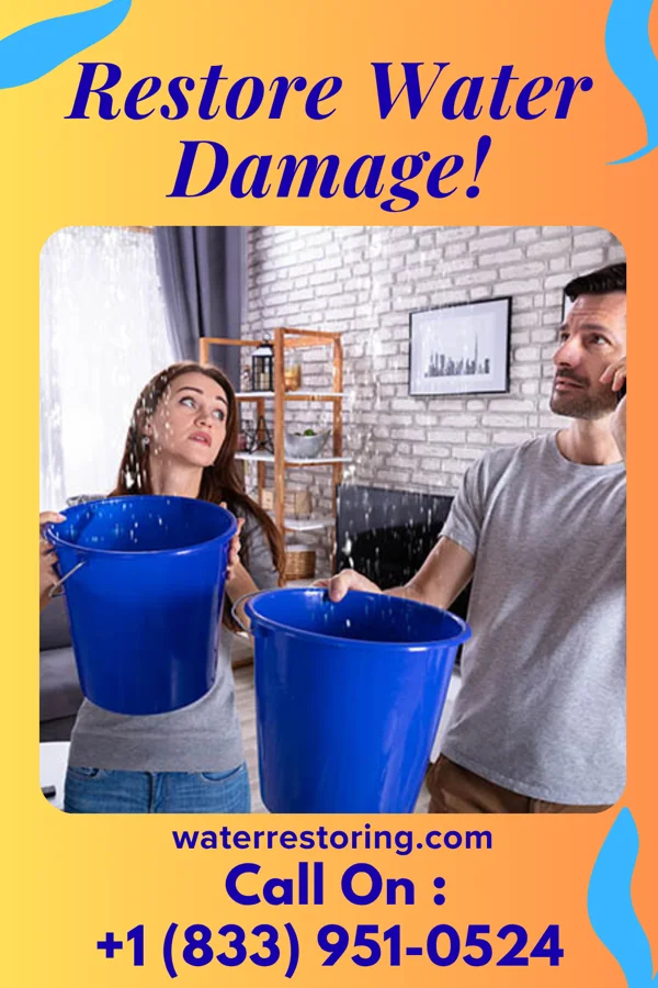water restoration Quick Flood Mitigation Masters Millerdale Colony