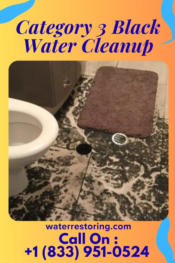 Category 3 Black Water Cleanup in Millerdale Colony, SD