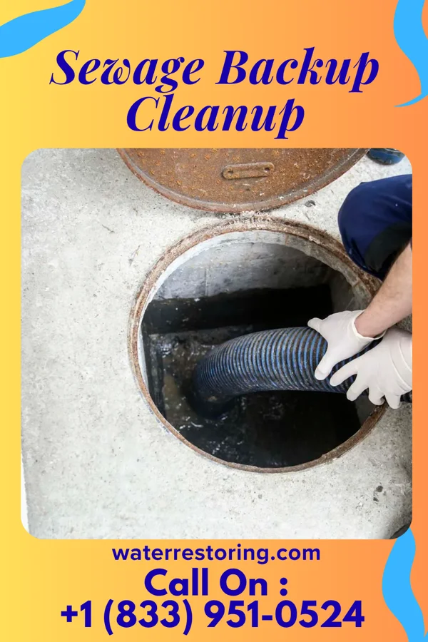 Sewage Backup Cleanup in Millerdale Colony, SD